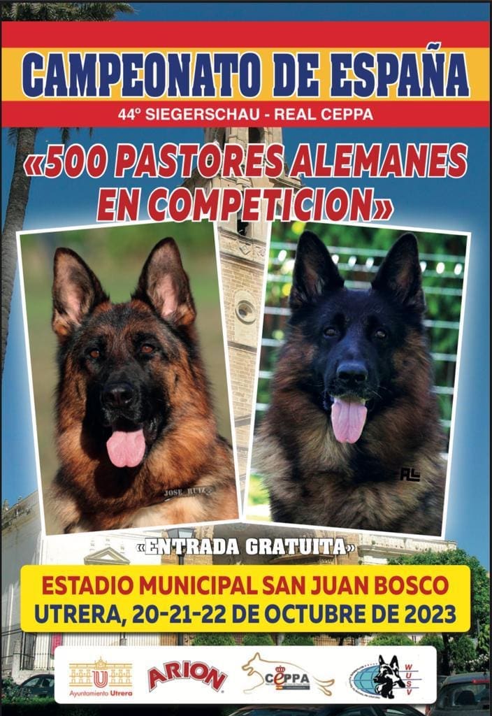 Cartel del Campeonato de España