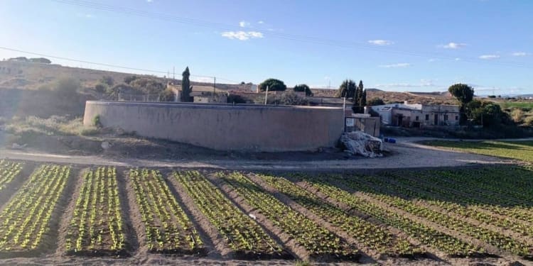 04/04/2024 Almería.- La compañía Saint Gobain comunica su renuncia al proyecto de la mina de Vera al ser "inviable" su explotación.

La multinacional Saint Gobain ha anunciado este martes la "renuncia" a la explotación de la mina a cielo abierto de verita en el paraje de 'La Media Legua', en el municipio de Vera (Almería) y su decisión de "no invertir" en el proyecto, que obtuvo autorización ambiental unificada por parte de la Junta de Andalucía el pasado mes de febrero.

POLITICA ANDALUCÍA ESPAÑA EUROPA ALMERÍA
VERAPLAYAZUL